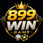899U Game
