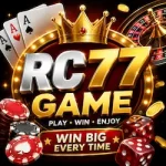 RC77 Game
